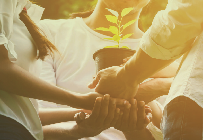 Download CSR & Sustainability Report