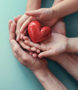 Hands holding a heart