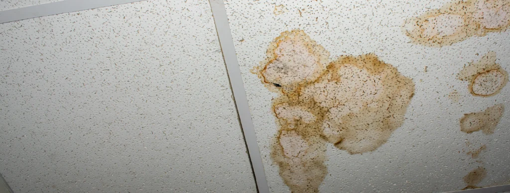 water damage due to clogged pan lines