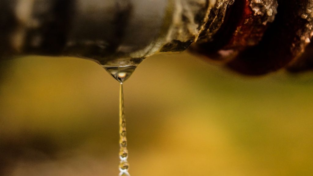 特種石油生產的先進管道修復解決方案